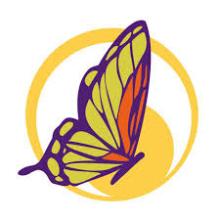 colorful butterfly